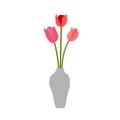 Pink Red Flowers Tulips Vase Isolated On White Background