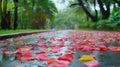 Pink and Red Petals on a Rainy Path Royalty Free Stock Photo