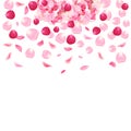 Pink and red romantic rose petals and hydrangea vector card. Royalty Free Stock Photo