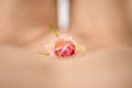 A pink red rose against a bare naked body skin tone background