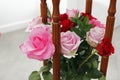 Pink and Red Roses Arrangement with Wood Royalty Free Stock Photo
