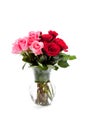 Pink and red roses in a clear vase on white Royalty Free Stock Photo