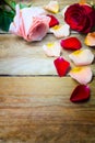 Pink and red roses with petals on the old wood, copy space. Royalty Free Stock Photo