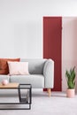 Pink and red screen on the white wall of elegant living room with modern coffee table and stylish couch, real photo