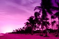 Pink and red sunset over sea beach with palms Royalty Free Stock Photo