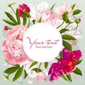 Pink, red and white peony greeting card Royalty Free Stock Photo