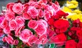 Pink, red and yellow roses for sale background