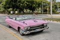 Pink retro cabriolet car taxi on street of resort town Varadero, Cuba. Royalty Free Stock Photo