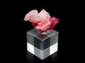 Pink rhodonite mineral on black background