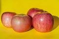 Pink ripe apples on a yellow backdrop