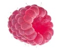 Pink ripe raspberry isolated on white Royalty Free Stock Photo