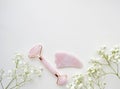 Pink roller face massager and gouache scraper . Rose quartz jade roller on a white background. Anti age, lifting and toning Royalty Free Stock Photo