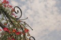 PINK ROSE AGAINST METAL STRUCTURE