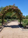 Pink Rose Arch Garden Royalty Free Stock Photo