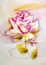 Pink rose, Artistic sketch etude. Wet painting