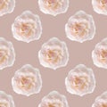 Pink rose on beige background. Seamless flower pattern Royalty Free Stock Photo