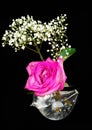 Pink rose in the bird glass vase