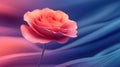 Elegant Rose on Abstract Background Royalty Free Stock Photo