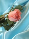 Pink rose on blue satin Royalty Free Stock Photo