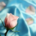 Pink Rose on Blue Satin Royalty Free Stock Photo