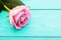 Pink rose on blue wooden background. Valentines day. Top view and copy space. Selective focus. Mock up Royalty Free Stock Photo