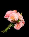 Pink rose bouquet Royalty Free Stock Photo