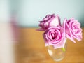 Pink rose bouquet with light distorting object, light blue background, selective focus. Decoration in a house concept. Light and