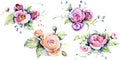 Pink rose bouquet loral botanical flowers. Watercolor background set. Isolated bouquets illustration element.