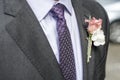 Pink rose boutonniere flower groom wedding coat with tie shirt Royalty Free Stock Photo