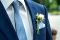 Pink rose boutonniere flower groom wedding coat with tie shirt Royalty Free Stock Photo