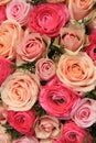 Pink rose bridal bouquet