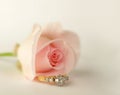 Pink Rose Bud and Diamond Ring Royalty Free Stock Photo