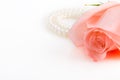 Pink rose bud with pearl necklace Royalty Free Stock Photo