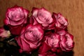 Pink rose buds for the background. Magic bouquet