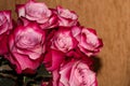 Pink rose buds for the background. Magic bouquet