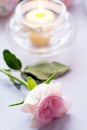 Pink rose with a candle on graybackground