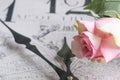 Pink rose on a clock face, clock hands Royalty Free Stock Photo
