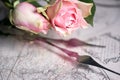 Pink rose on a clock face, clock hands Royalty Free Stock Photo
