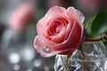Pink Rose with Diamond Ring in Crystal Glass Royalty Free Stock Photo