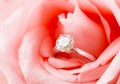 Pink Rose and diamond ring nestled inside