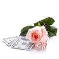 Pink rose, Dollars and pearl beads. Royalty Free Stock Photo