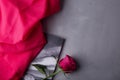 Pink rose elegance on abstract grey background. Copy space