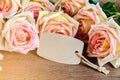 Pink rose with empty paper tag. Royalty Free Stock Photo