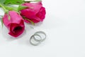 Pink Rose, Engage ring with love in Valentines Day