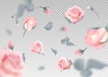 Pink rose falling flowers and buds vector background. 3D romantic illustration