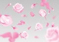 Pink rose falling flowers and buds vector background. 3D romantic illustration