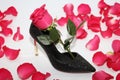 Pink rose in a female shoe. Black shoes with high heels Royalty Free Stock Photo