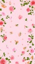 Seamless Pink Rose Floral Pattern Background - Romantic Vintage Design Royalty Free Stock Photo