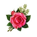 Pink rose flower arangement Royalty Free Stock Photo