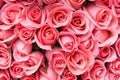 pink rose flower bouquet Royalty Free Stock Photo